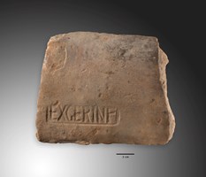 Romeinen tegenover de Heuvelrug