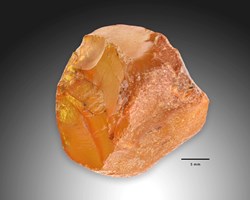 Romeinen tegenover de Heuvelrug