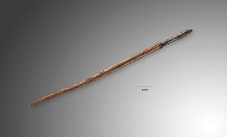 Uit de bodem van het Sticht