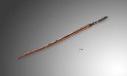 Uit de bodem van het Sticht